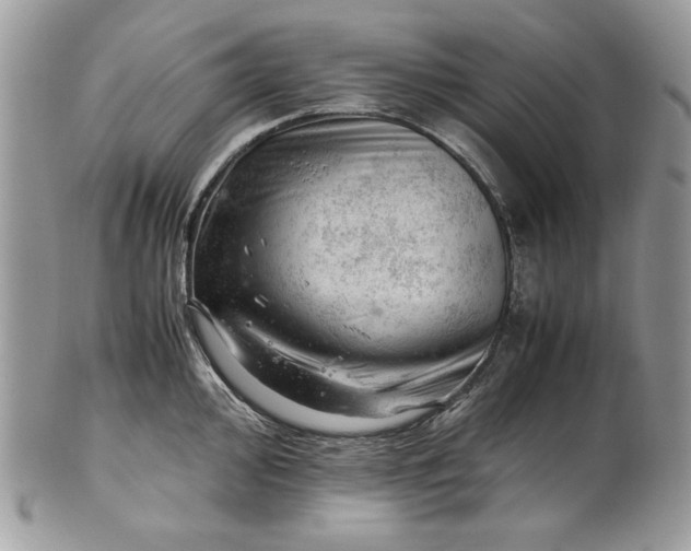 X0000101961000200808011103