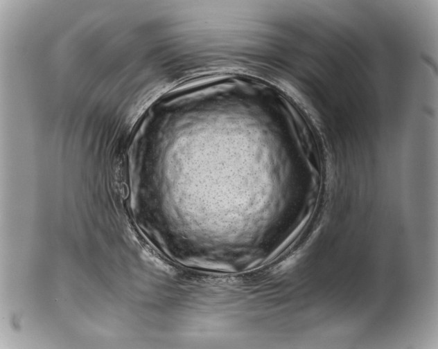 X0000101961001200808011103