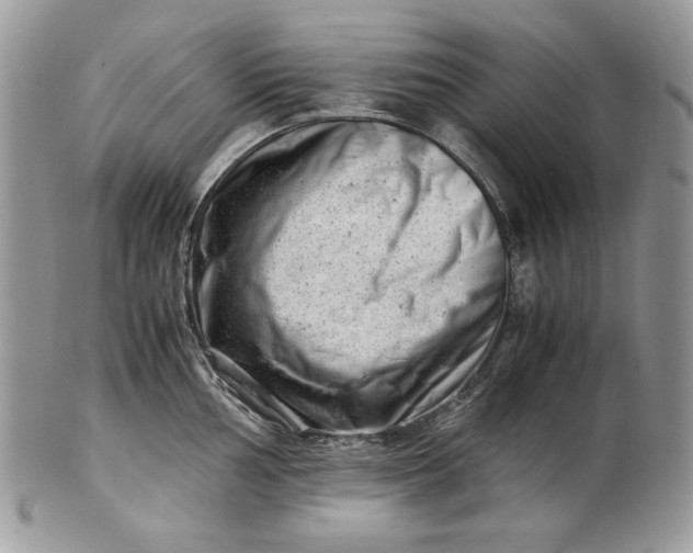 X0000101961002200808011103