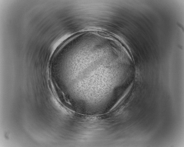 X0000101961003200808011103