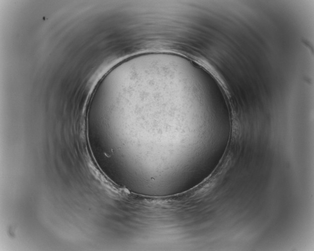 X0000101961004200808011103