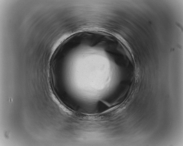 X0000101961005200808011103