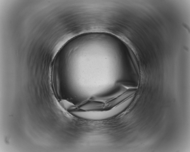 X0000101961006200808011103