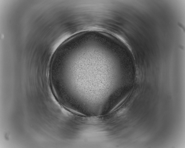 X0000101961007200808011103