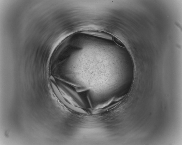 X0000101961008200808011103