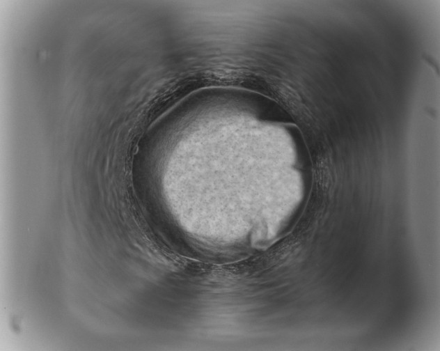 X0000101961009200808011103