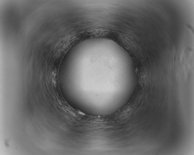 X0000101961010200808011103