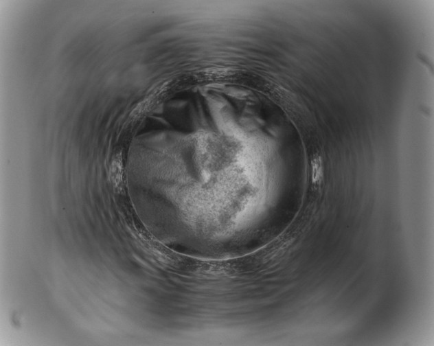 X0000101961011200808011103