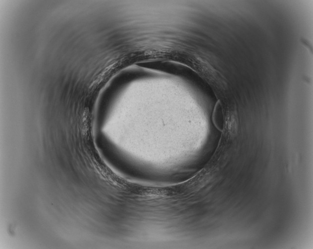 X0000101961012200808011103