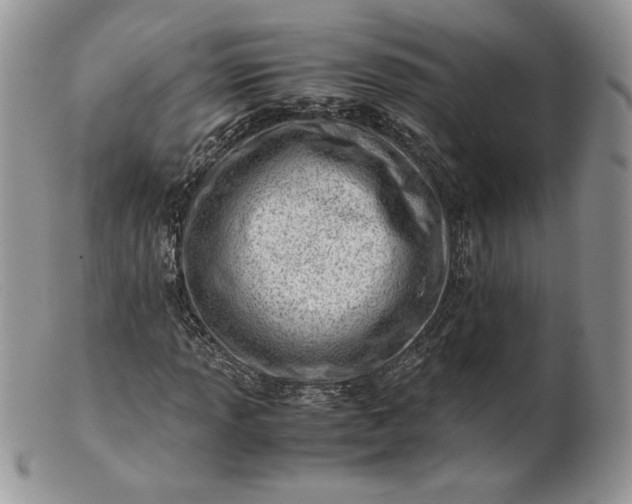 X0000101961013200808011103