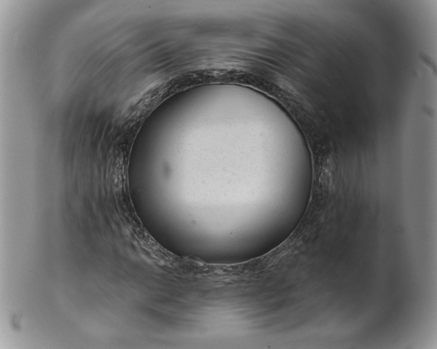 X0000101961014200808011103