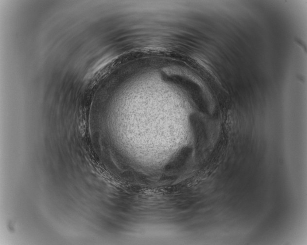 X0000101961015200808011103