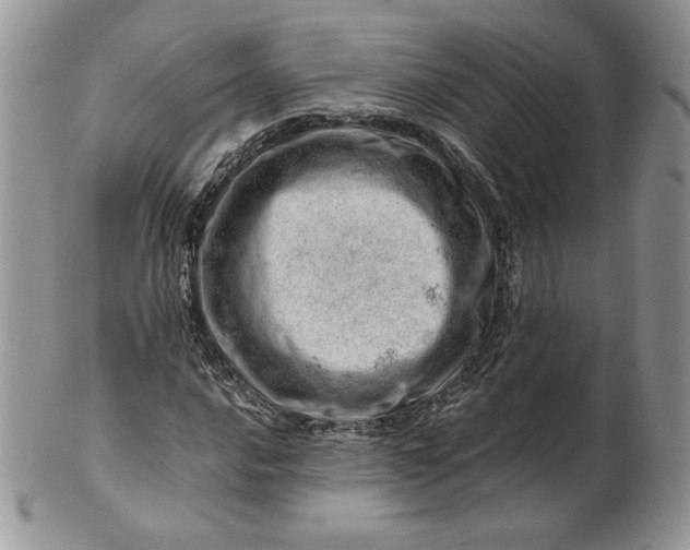 X0000101961016200808011103