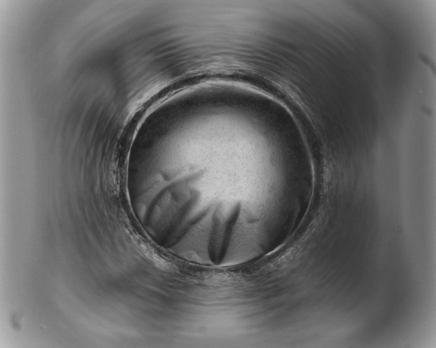 X0000101961018200808011103