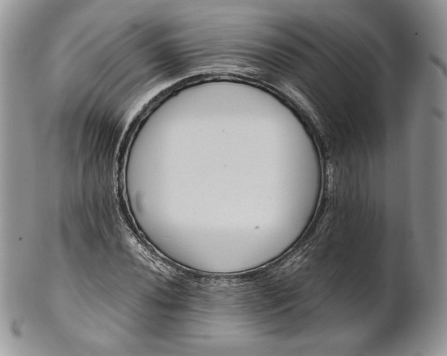 X0000101961020200808011103