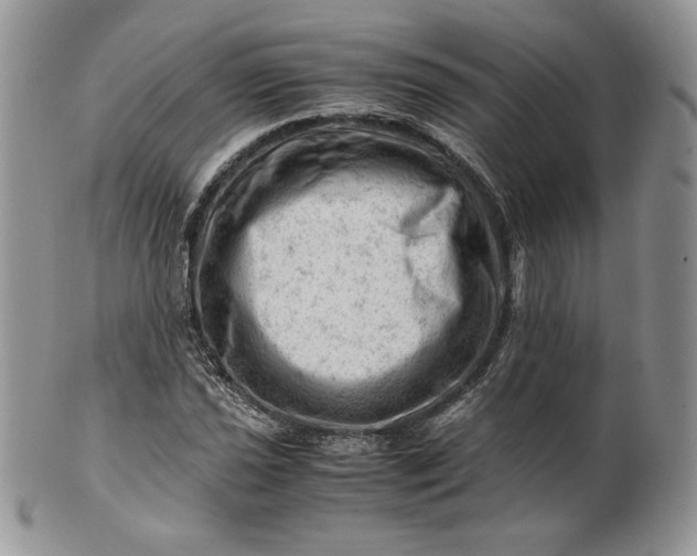 X0000101961021200808011103