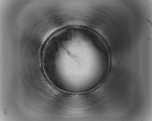 X0000101961022200808011103