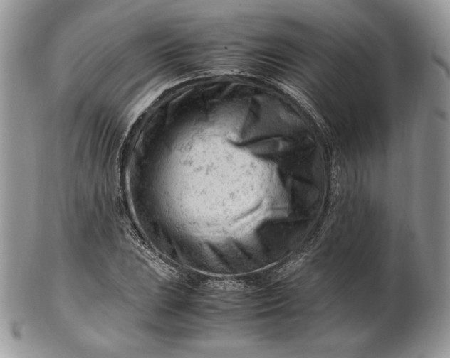 X0000101961023200808011103