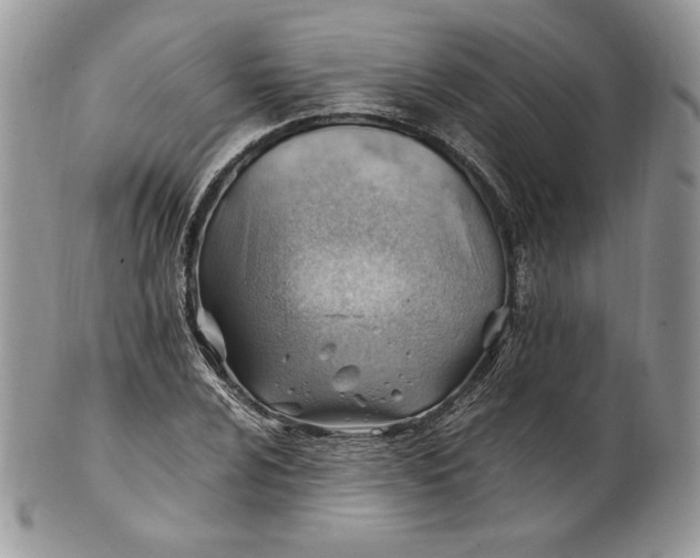 X0000101961024200808011103