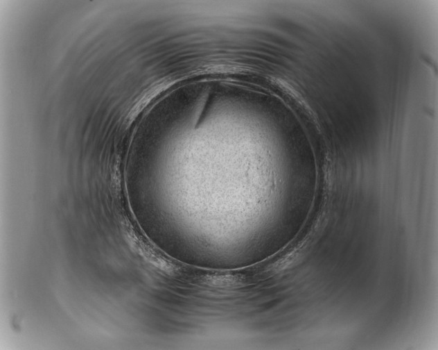 X0000101961025200808011103