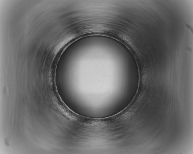 X0000101961026200808011103