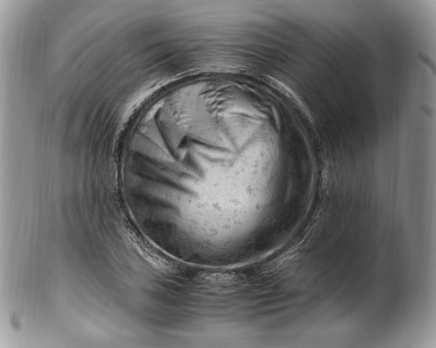 X0000101961027200808011103