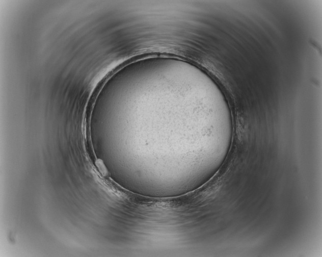 X0000101961028200808011103