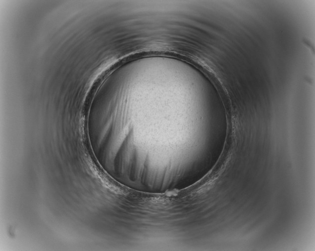 X0000101961029200808011103