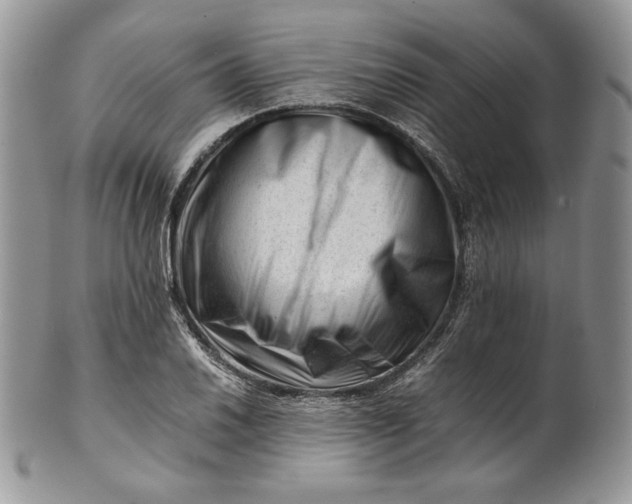 X0000101961030200808011103