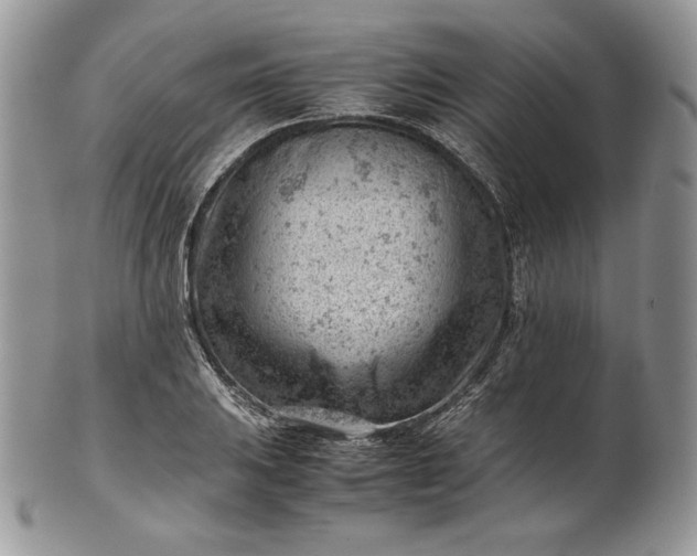 X0000101961031200808011103