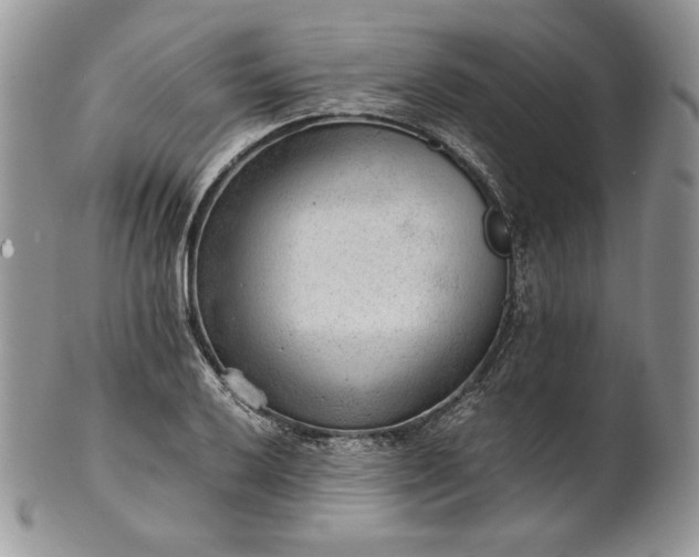 X0000101961032200808011103