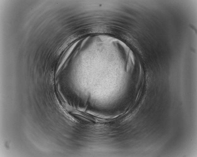 X0000101961033200808011103