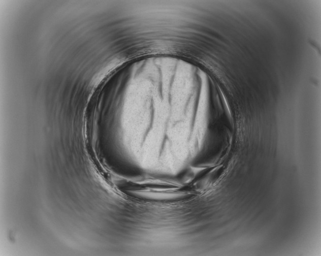 X0000101961034200808011103