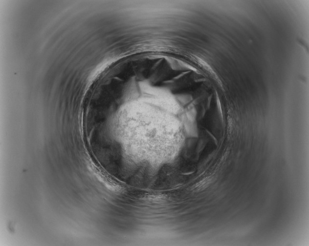 X0000101961035200808011103