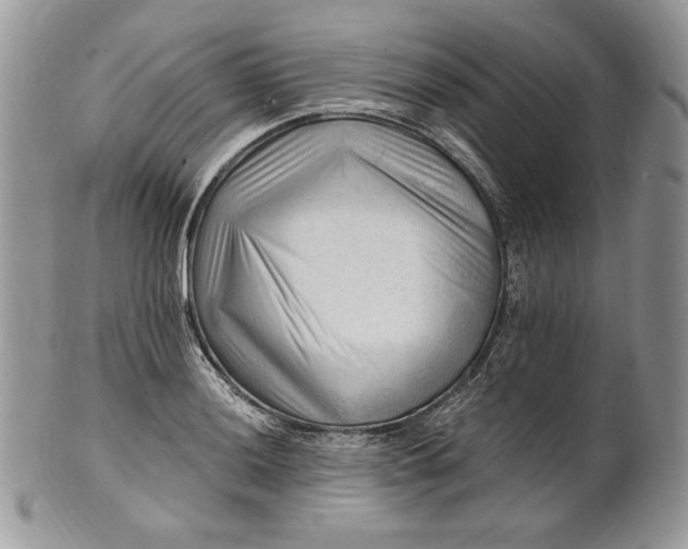 X0000101961036200808011103