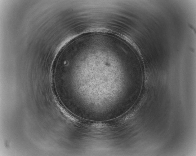 X0000101961037200808011103