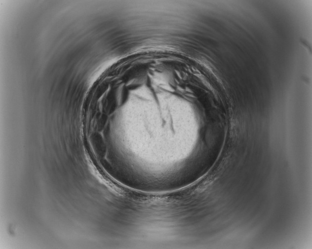 X0000101961038200808011103