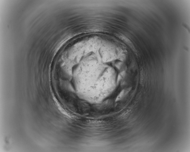 X0000101961039200808011103