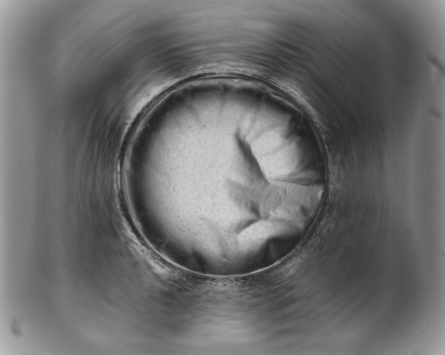 X0000101961040200808011103