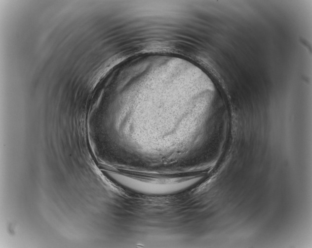 X0000101961041200808011103