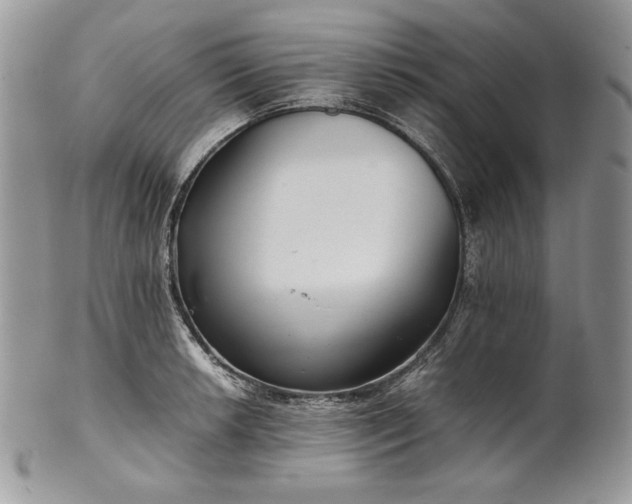 X0000101961042200808011103