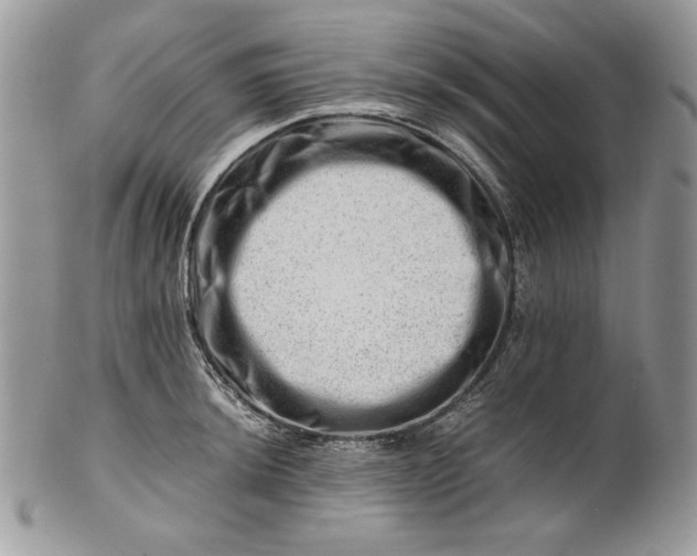 X0000101961044200808011103