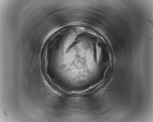 X0000101961045200808011103