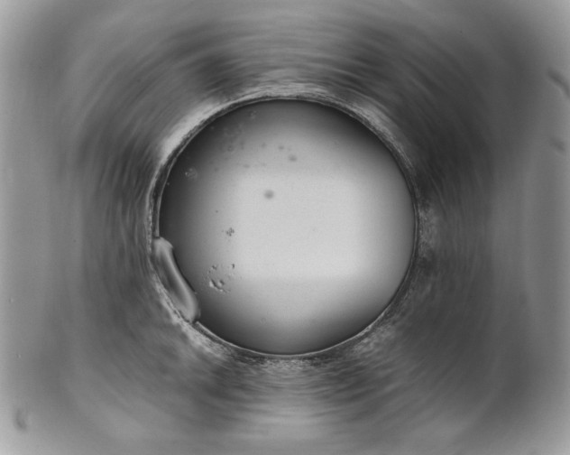 X0000101961046200808011103