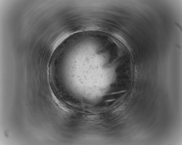 X0000101961047200808011103