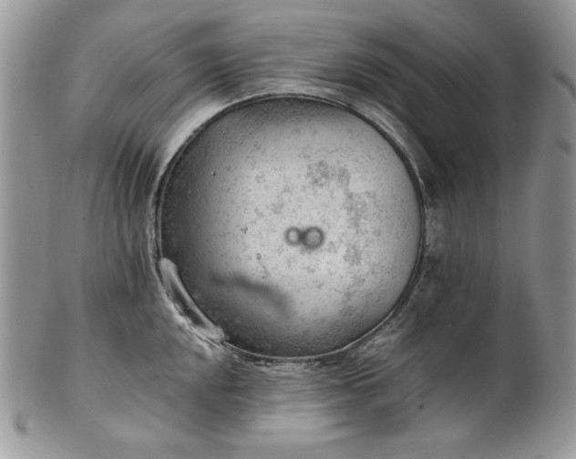 X0000101961048200808011103