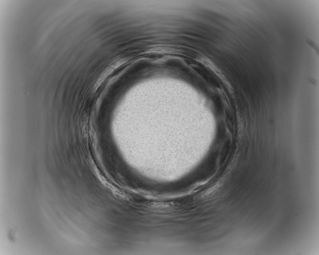 X0000101961049200808011103