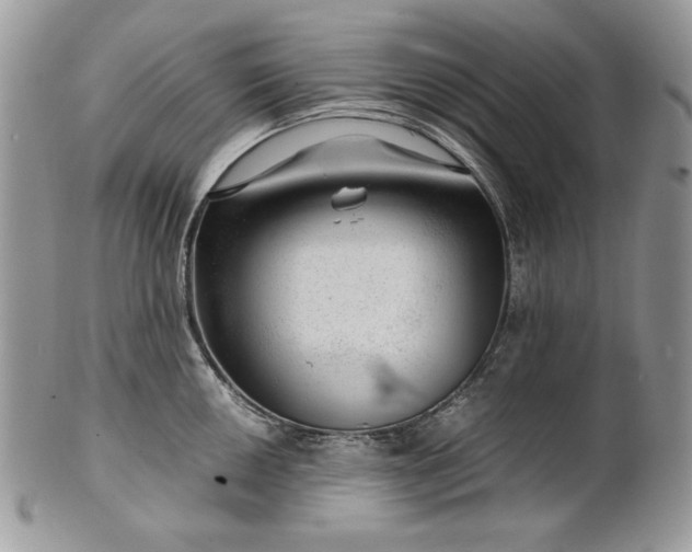 X0000101961050200808011103