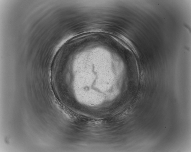 X0000101961051200808011103