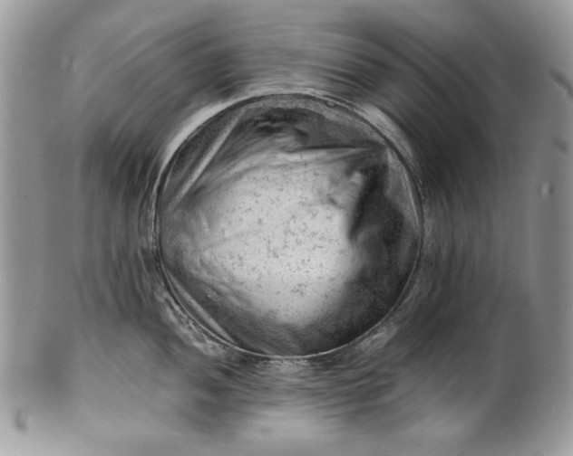 X0000101961052200808011103